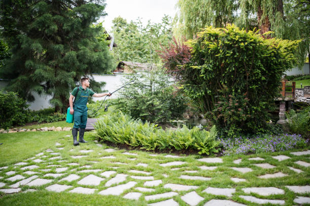 Best Cockroach Control Services  in Red Hill, PA