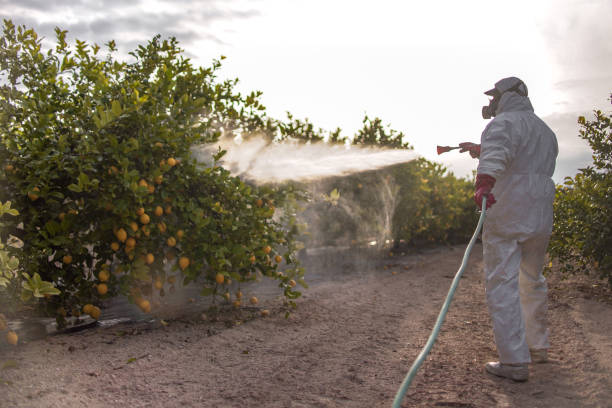Best Pest Control for Businesses  in Red Hill, PA